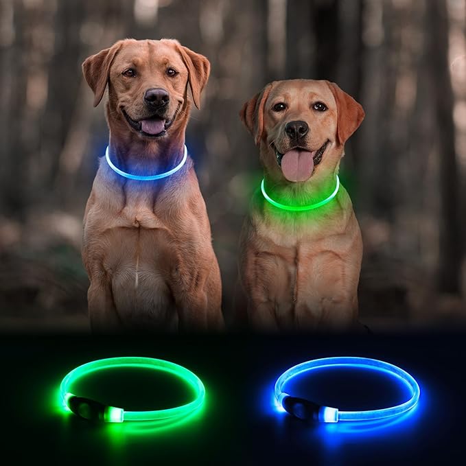 Pack de 2 Collares LED para Perros Recargables USB, Ajustables miniatura 2