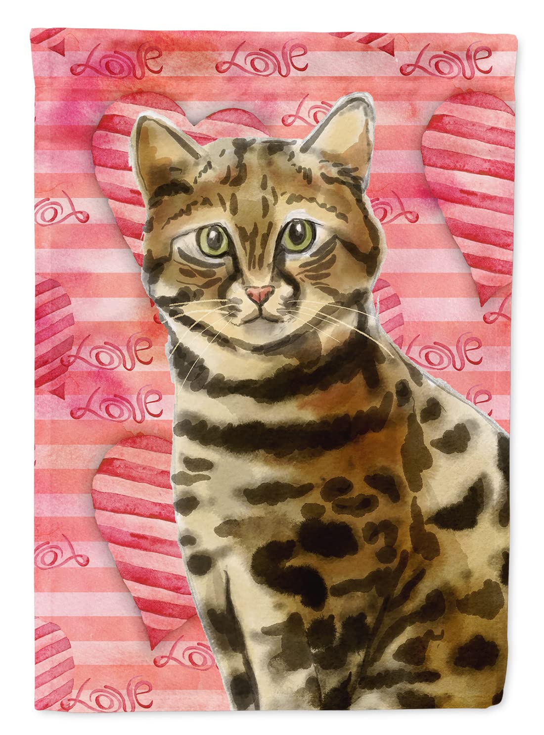 Drapeau chat du Bengale extérieur pour décoration de jardin et façade de maison