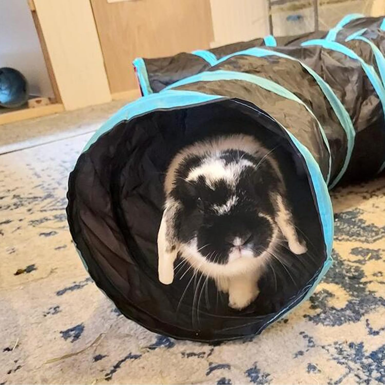 Bemodst Cat Tunnel for Indoor Cats, 5 Way Cat Tubes and Tunnels Collapsible S-Shape Small Animal Tubes Kitty Tunnels Interactive Maze Cat Toy for Kitten Rabbit Ferret - 5 Way