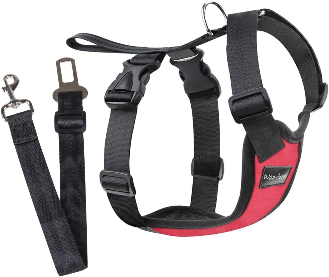 Way-Seven Dog Safety Vest Mesh Harness with Car Seat Belt Lead Clip, Free Size (S, RED)