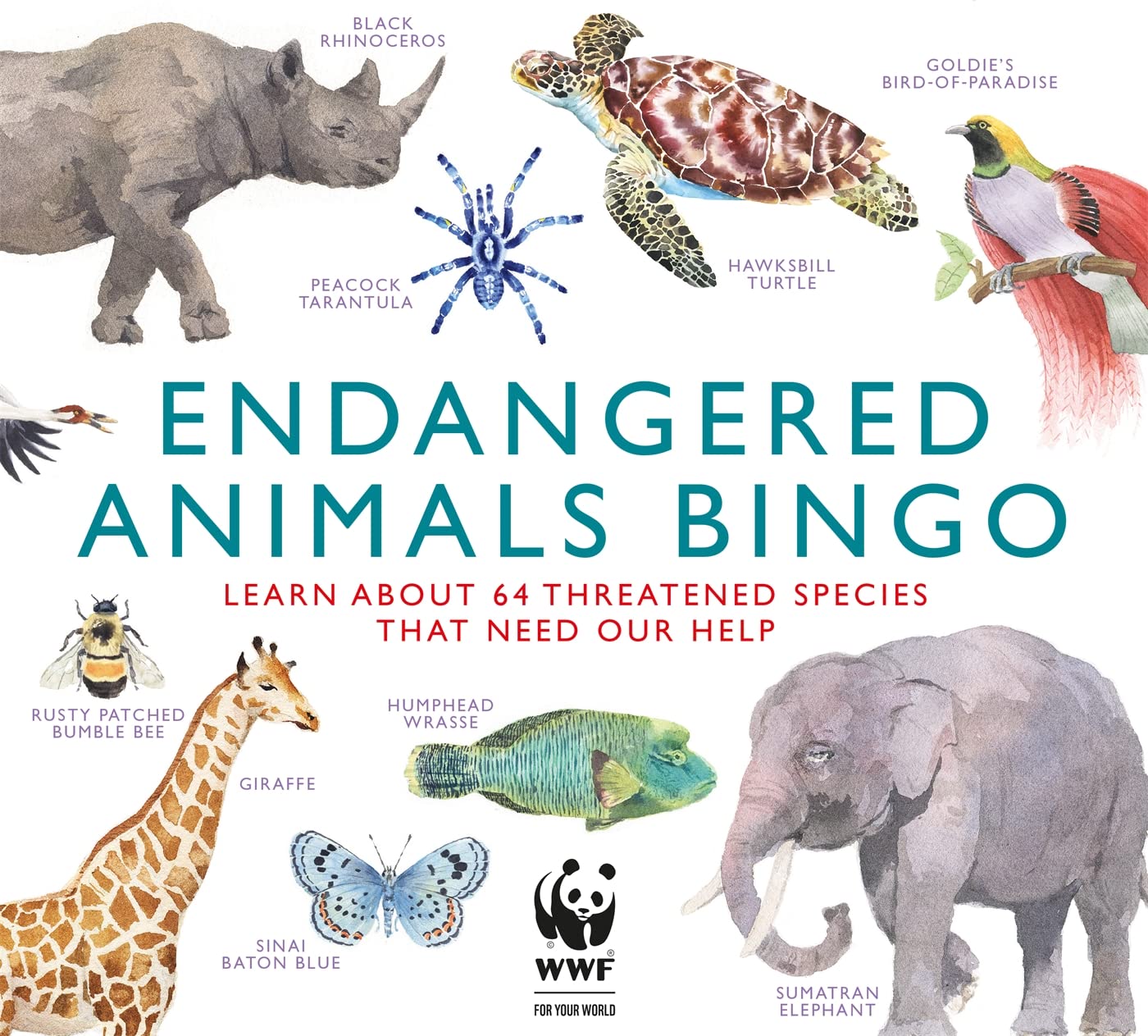 Endangered Animals Bingo: Learn About 64 Threatened Species That Need Our Help