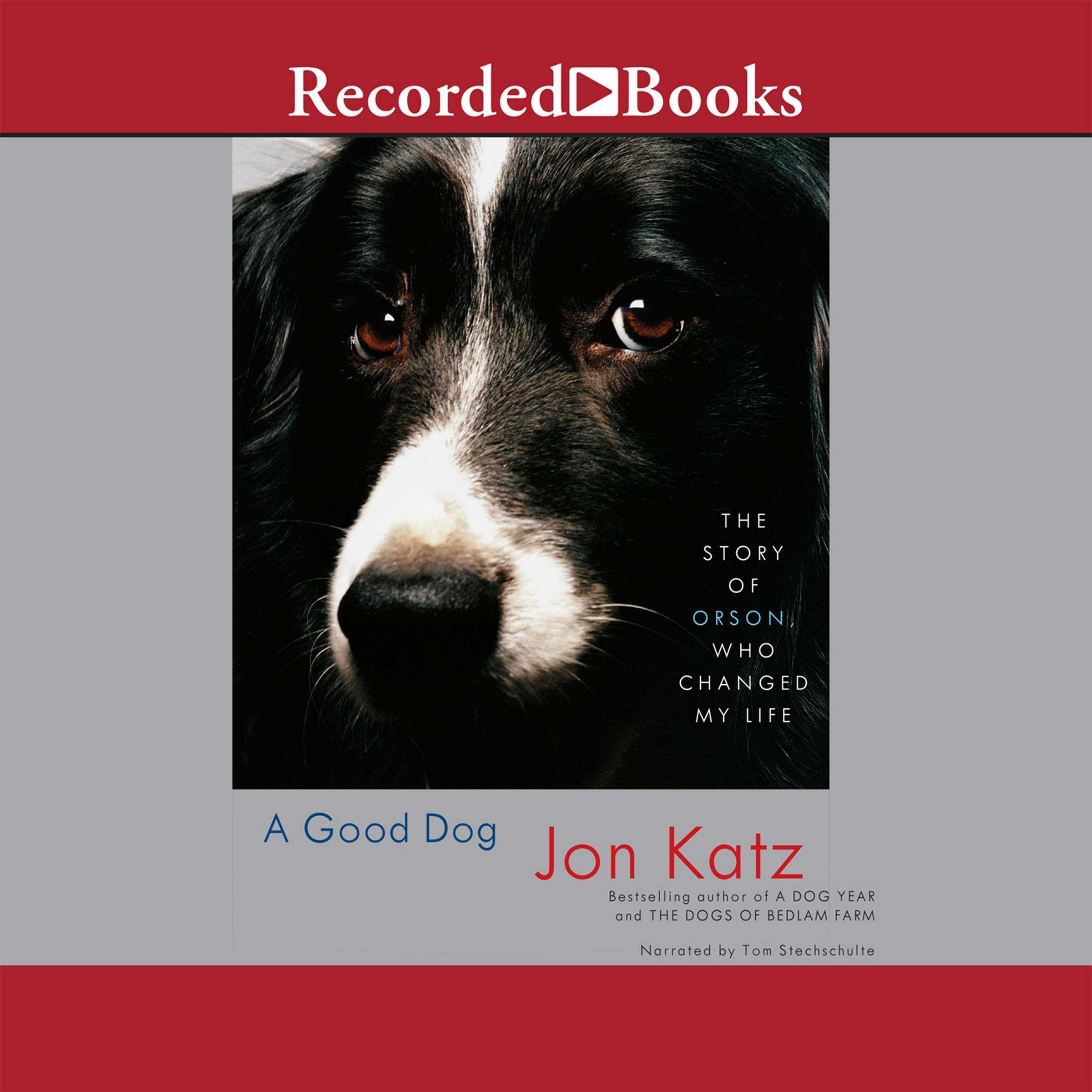 Cover art for A Good Dog