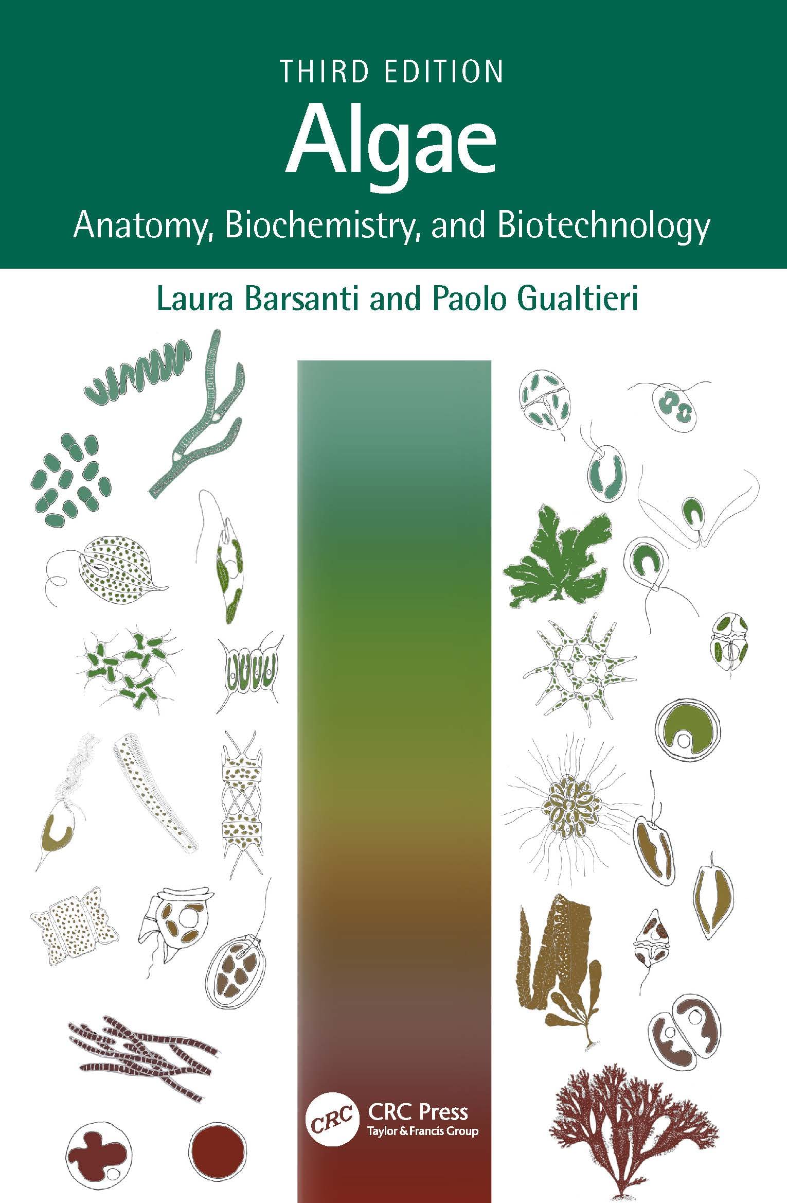 Algae Anatomy, Biochemistry, and Biotechnology 3e by Laura Barsanti, Paolo Gualtieri