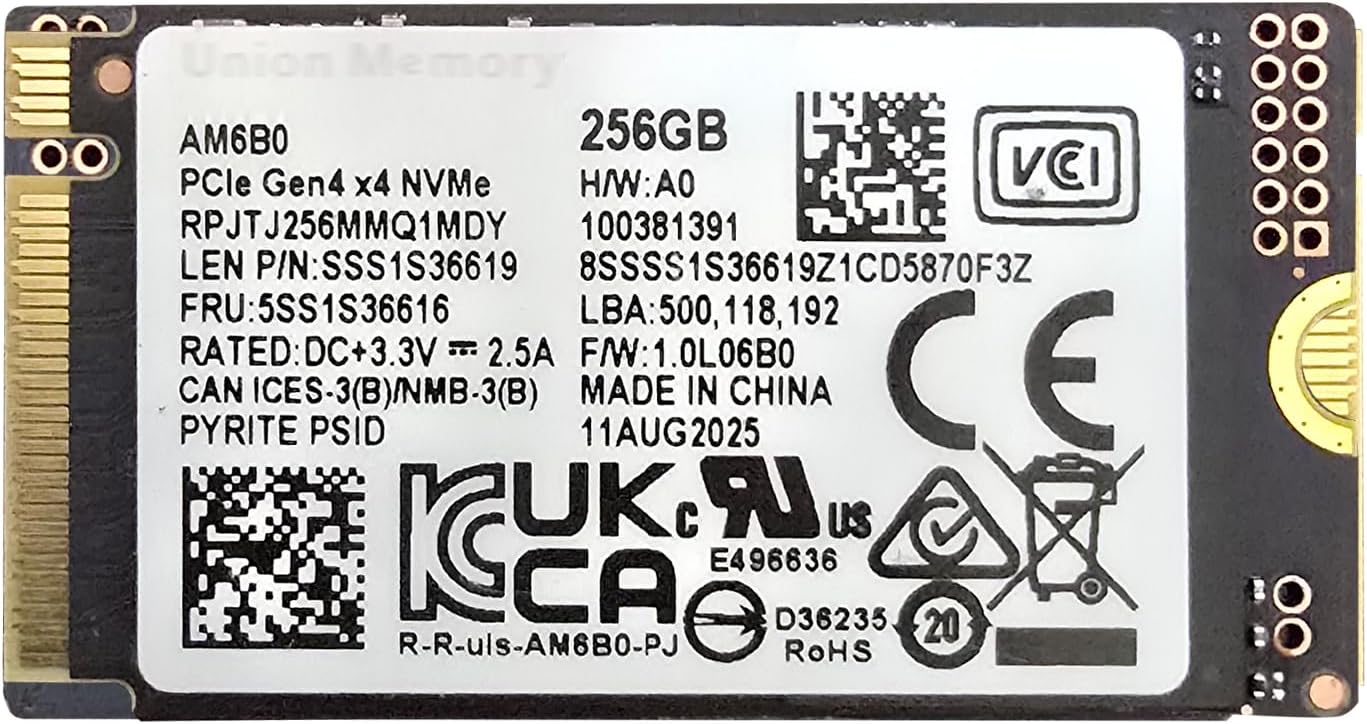 256GB SSD M.2 2242 NVMe PCIe GEN4 AM6B0 RPJTJ256MMQ1MDY SSS1S36619 5SS1S36616 Solid State Drive (M.2 PCIe Gen 4 x4 NVMe)