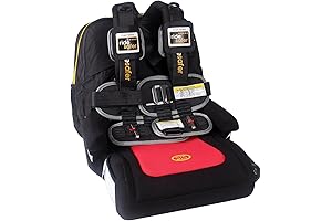RideSafer Travel & Car Seat Vest