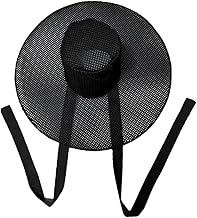 predolo Korean Black Mesh Gat Hat Joseon Dynasty Traditional Hat for Shows and Parties