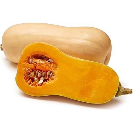 Organic Calabacin Squash: A Natural Health Powerhouse