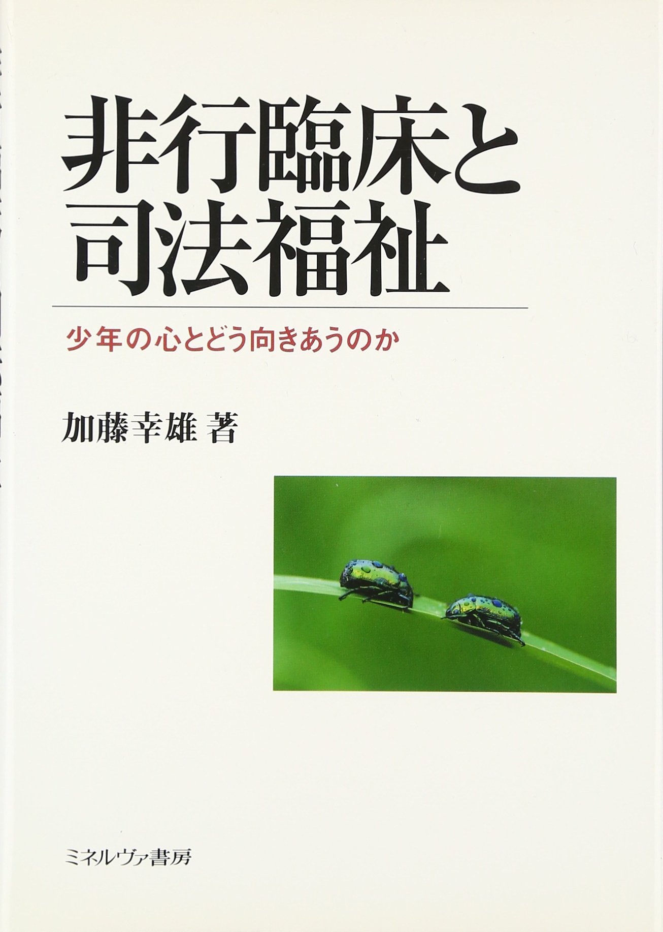 非行臨床と司法福祉: 少年の心とどう向きあうのか | 加藤 幸雄 |本