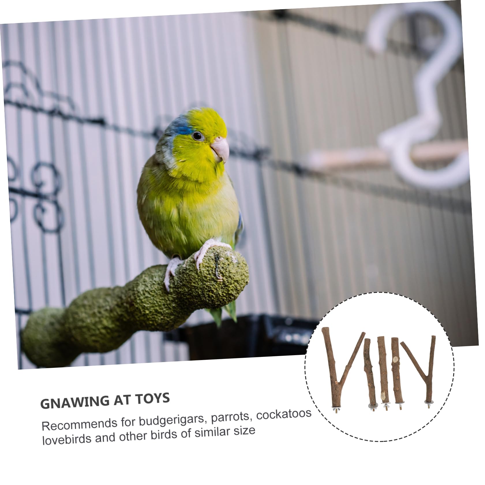 DOITOOL 5ensembles Perchoir à Oiseaux De Sèchage Naturel De Barres De Jeu pour Oiseaux avec Support Accessoires De Cage pour Perruches Et Perroquets Couleurs Aléatoires