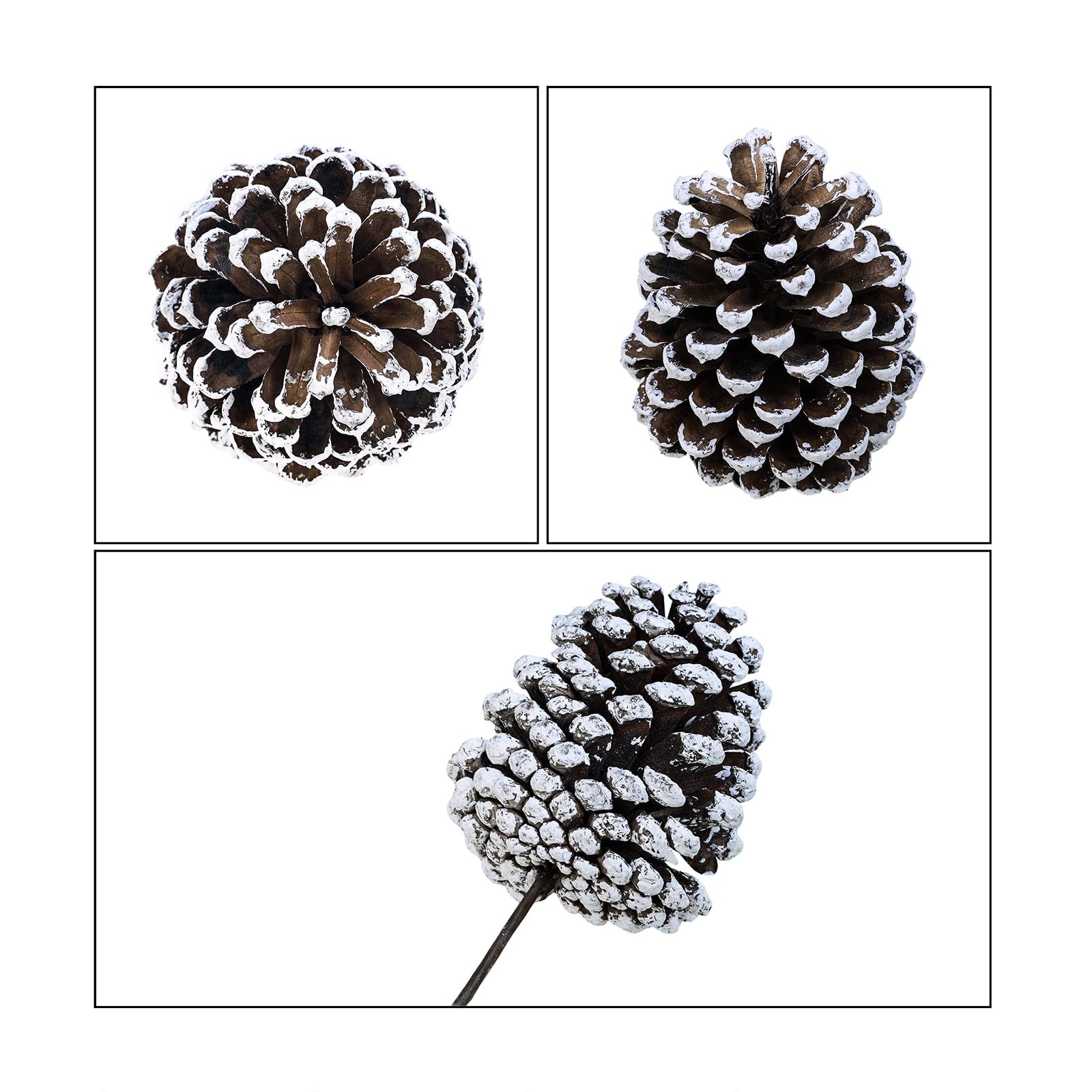 Winlyn 12 pigne satinate per pigne natalizie, con punta bianca, steli medi alti 20,6 cm, per albero di Natale, composizioni floreali, artigianato, ghirlande, matrimoni invernali