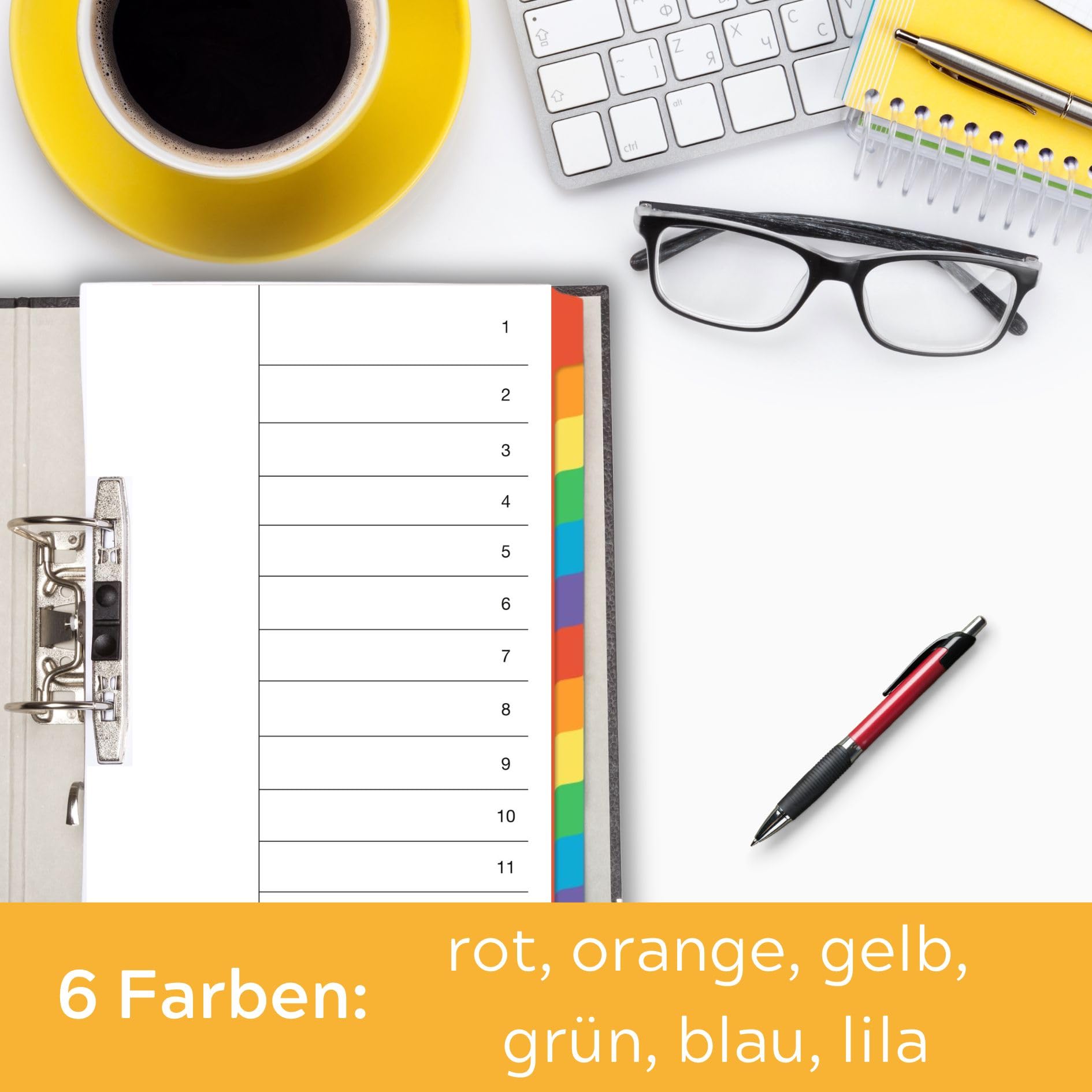 perfect line Segregator DIN-A4, 12-częściowy, zestaw 50 sztuk, karton, Made in Germany