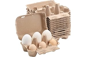 Jumbo Turkey Egg Cartons (20-Pack)