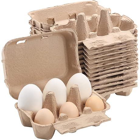 Jumbo Turkey Egg Cartons (20-Pack)