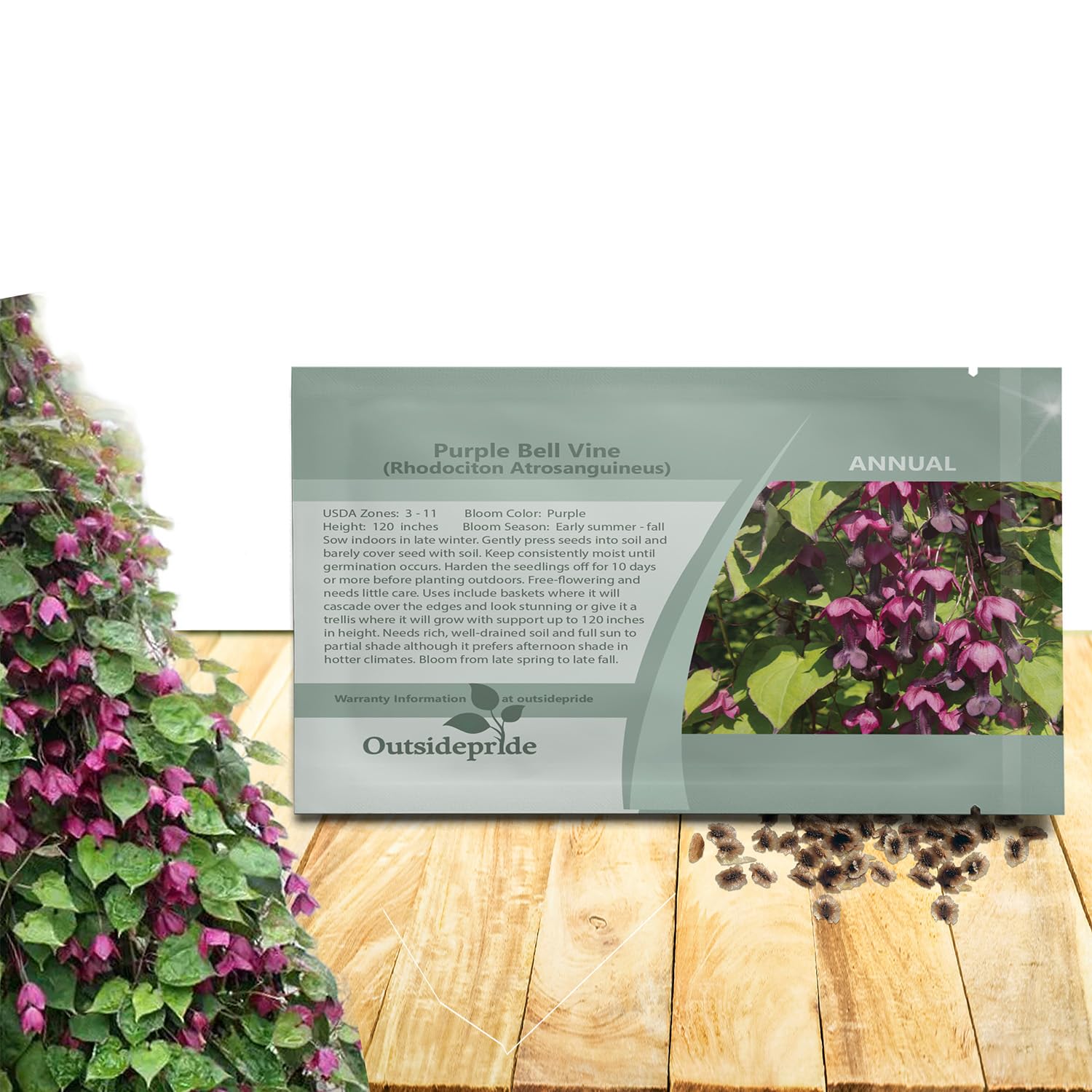 Outsidepride Purple Bell Vine Seeds - 25 Pcs. Annual, Versatile & Low Maintenance, Flower Seeds for Planting Vibrant & Exotic Purple Bell-Shaped