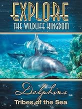 Explore The Wildlife Kingdom: Dolphins - Tribes of The Sea