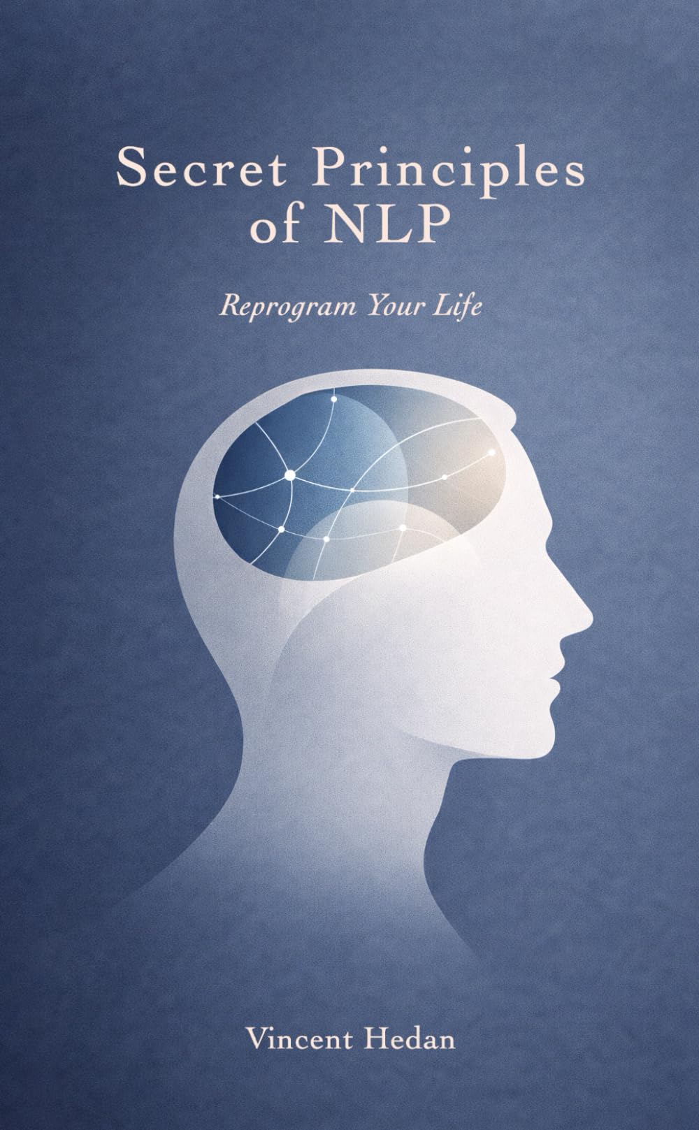 Secret Principles of NLP