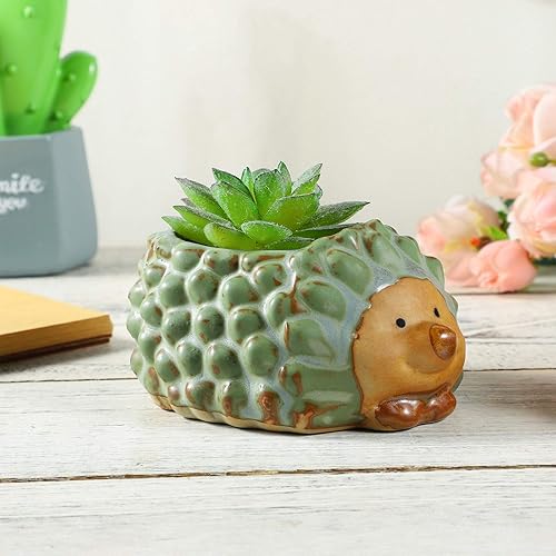 Miniatura 8 de VORCOOL Maceta para suculentas, bonita maceta de erizo, maceta para suculentas de animales pequeños, maceta de resina para jardín, hogar, decoración