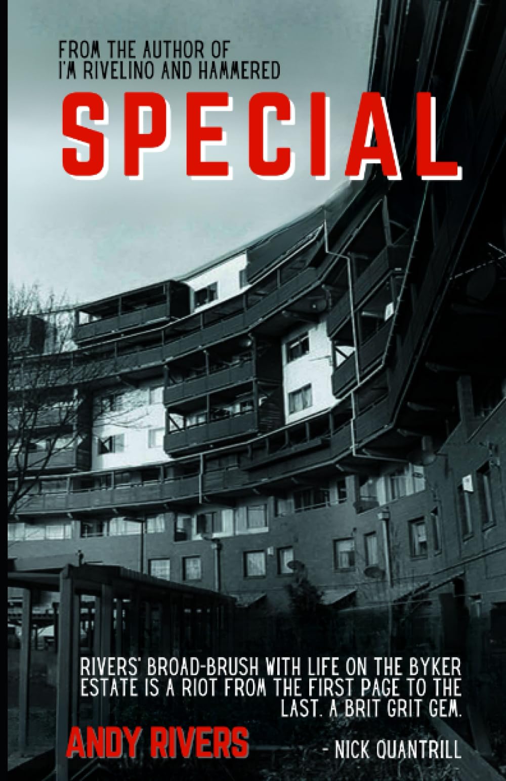 Special: What if vigilante justice went too far... (The Byker crime thriller series)