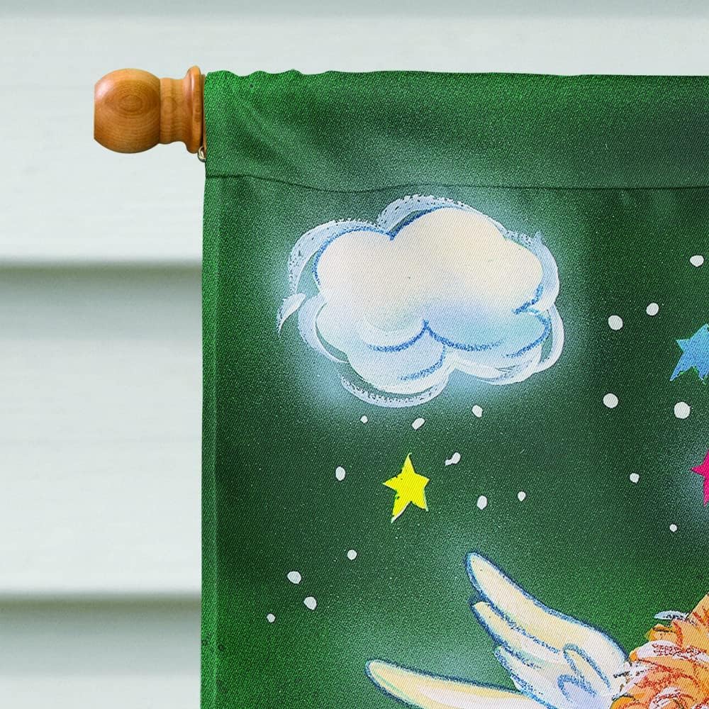 Caroline's Treasures AAH7253CHF Angels on Green House Flag Large Porch Sleeve Pole Decorative Outside Yard Banner Artwork Wall Hanging, Polyester, House Size, Multicolor