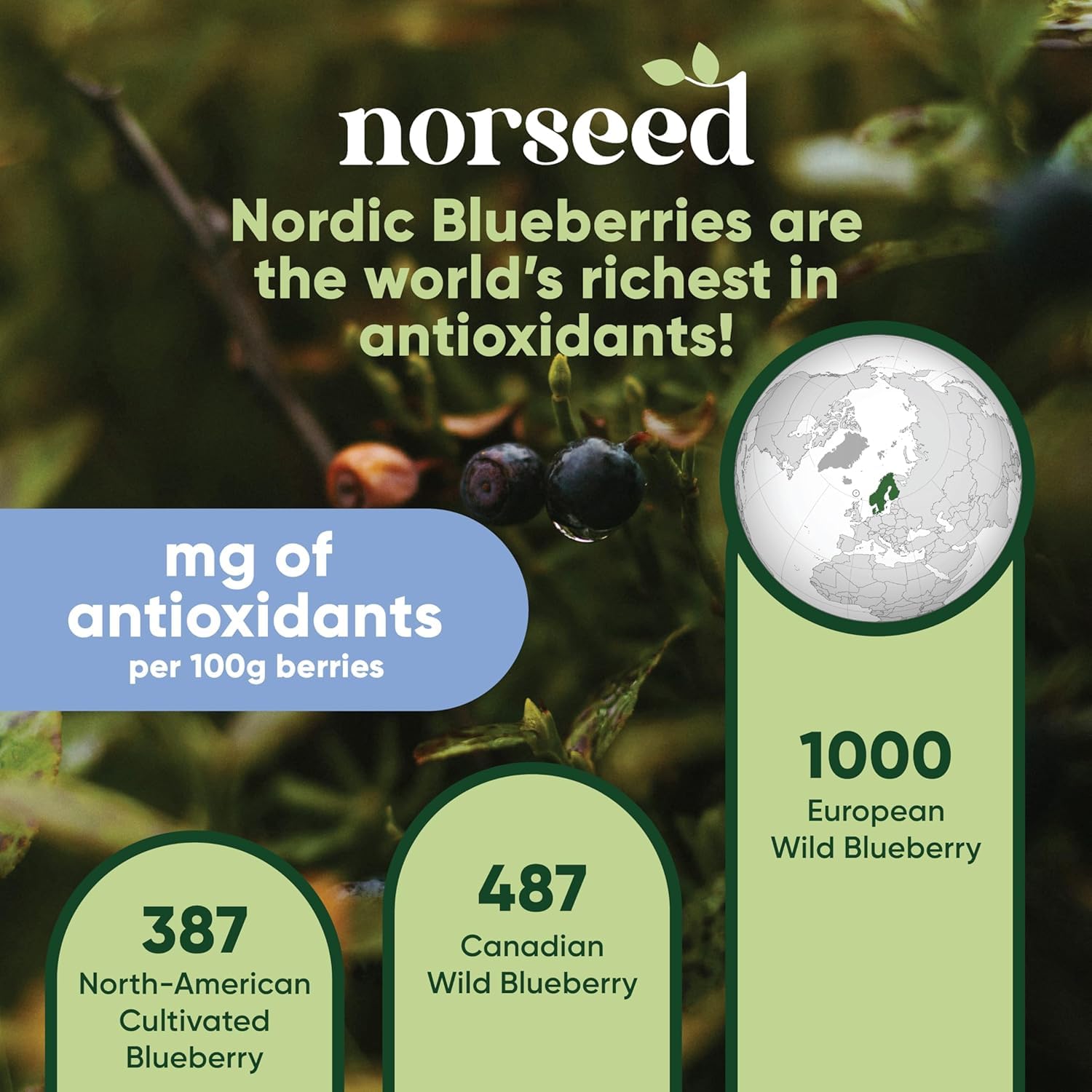 Wild Blueberry Powder Organic 5 Ounce Bag USDA Certified & Lab Tested - Freeze Dried Blueberries No Added Sugar, Additives, or Fillers - Antioxidant Superfood For Smoothies & Baking From Whole Berries - Image 7