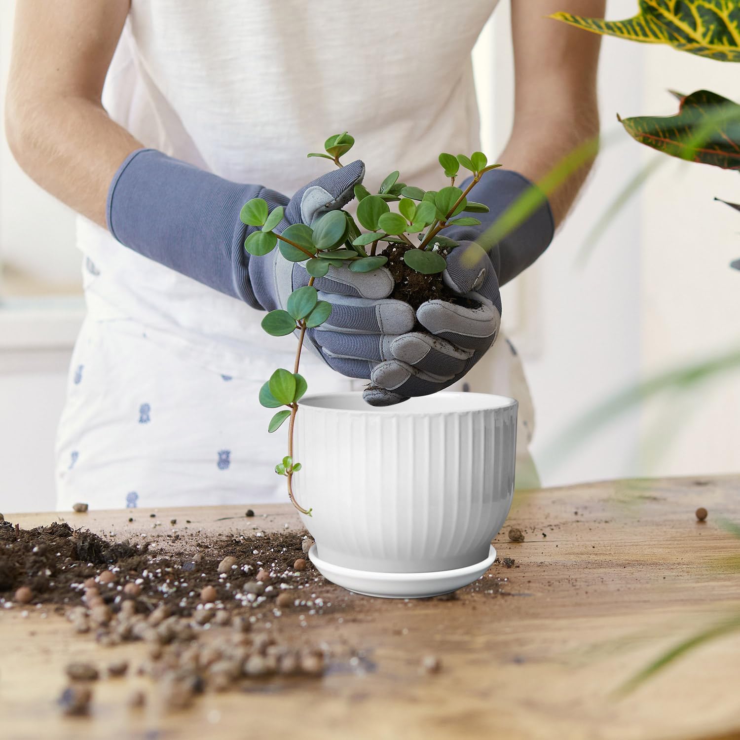 5.5 Inch Plant Pot, Ceramic Planter with Drainage and Saucer，Ceramic Pots for Plants, Indoor Plant pots，Succulent Orchid Flower Pot(Pure White,4 Pack)