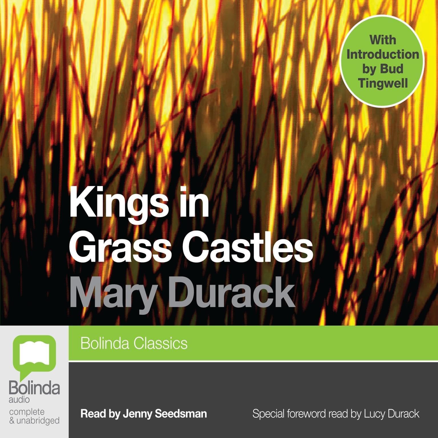 Cover art for Kings in Grass Castles