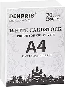 Lot De 50 Feuilles De Papier Blanc A4 - 250 G, Épais, 21 X 29,7 Cm