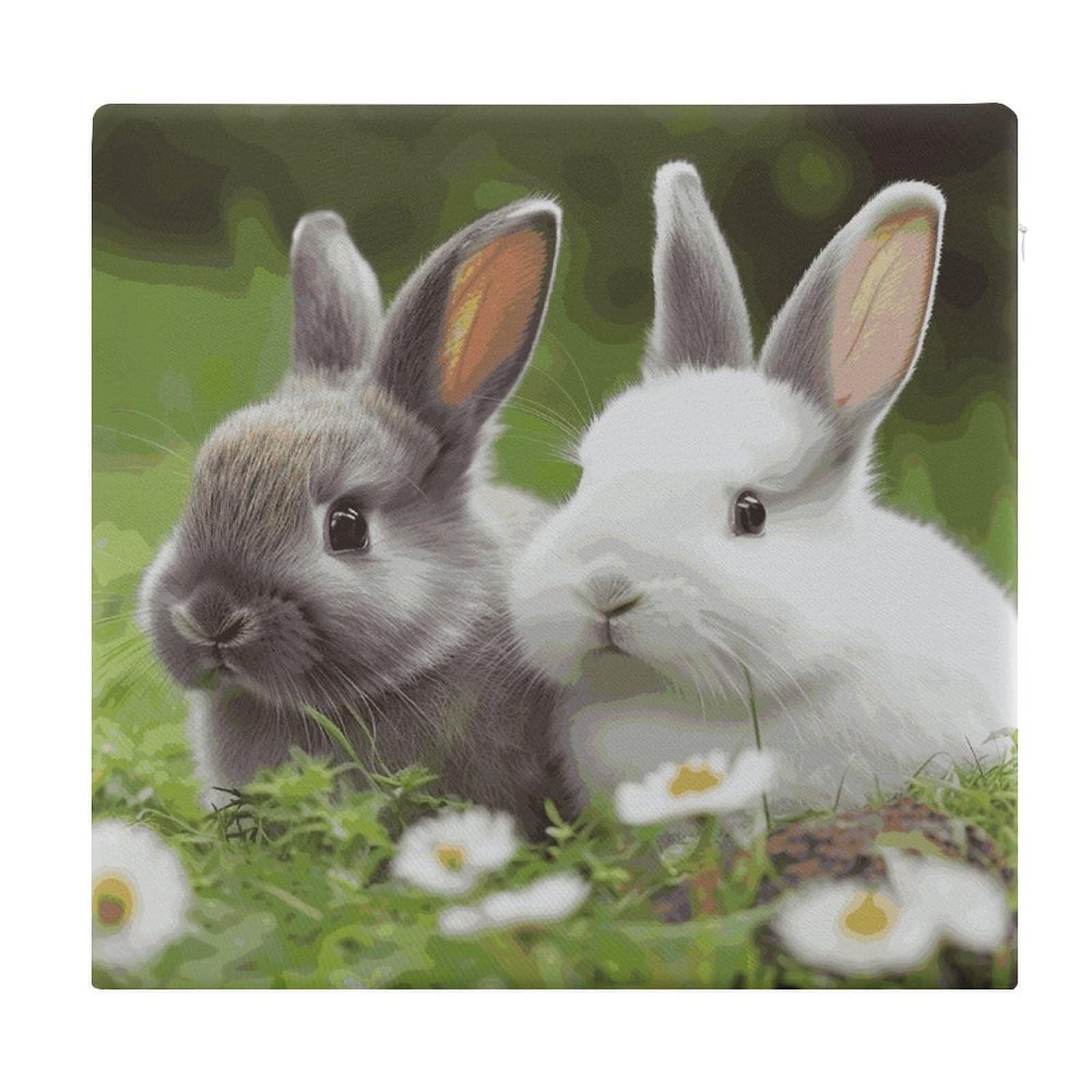 LDGSUPH - Two little rabbits seat cushions for office chair square cushions soft floor cushions comfortable memory foam cushion cushions for home travel chair