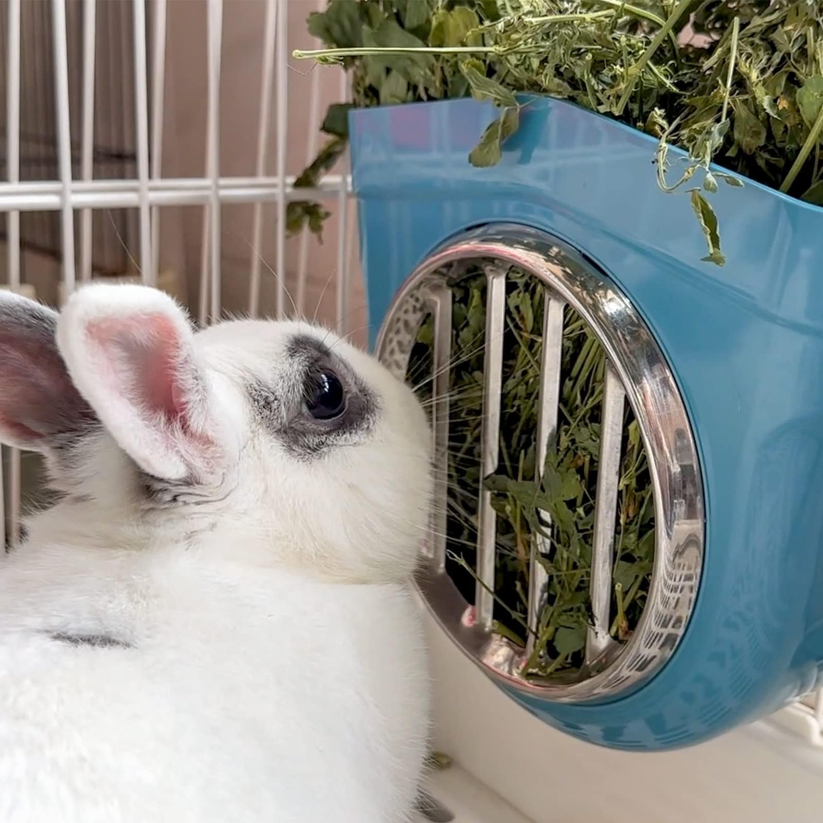Small Animal Hay Feeder, Chew-Proof ABS Body, 304 Stainless Steel Grid Timothy Alfalfa Rack for Rabbit Bunny Guinea Pig Chinchilla Cage Hutch Crate (68oz, Blue) - image 5