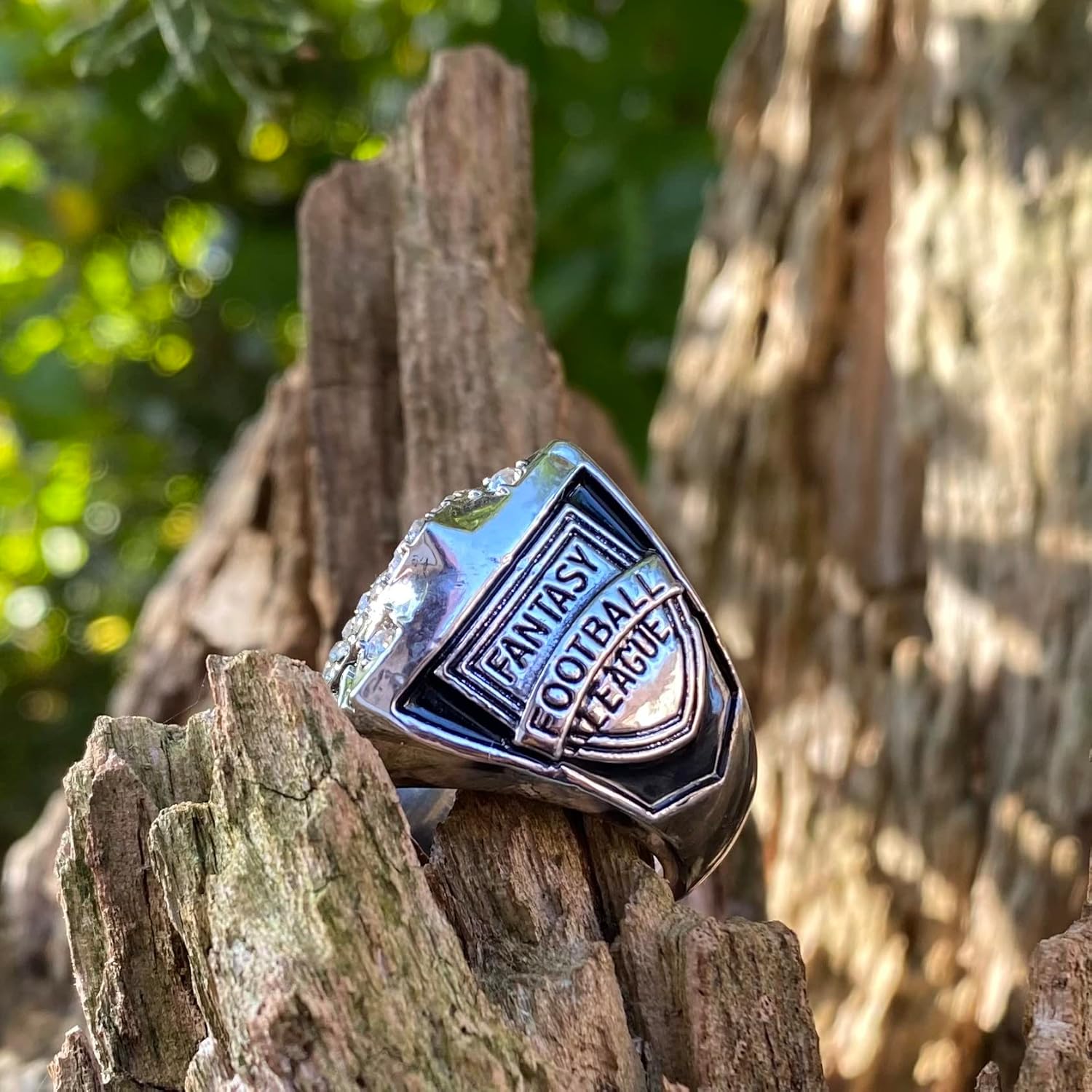 Legacy Rings 2022 Fantasy Football Championship Ring | with Acrylic Stand | Many Colors