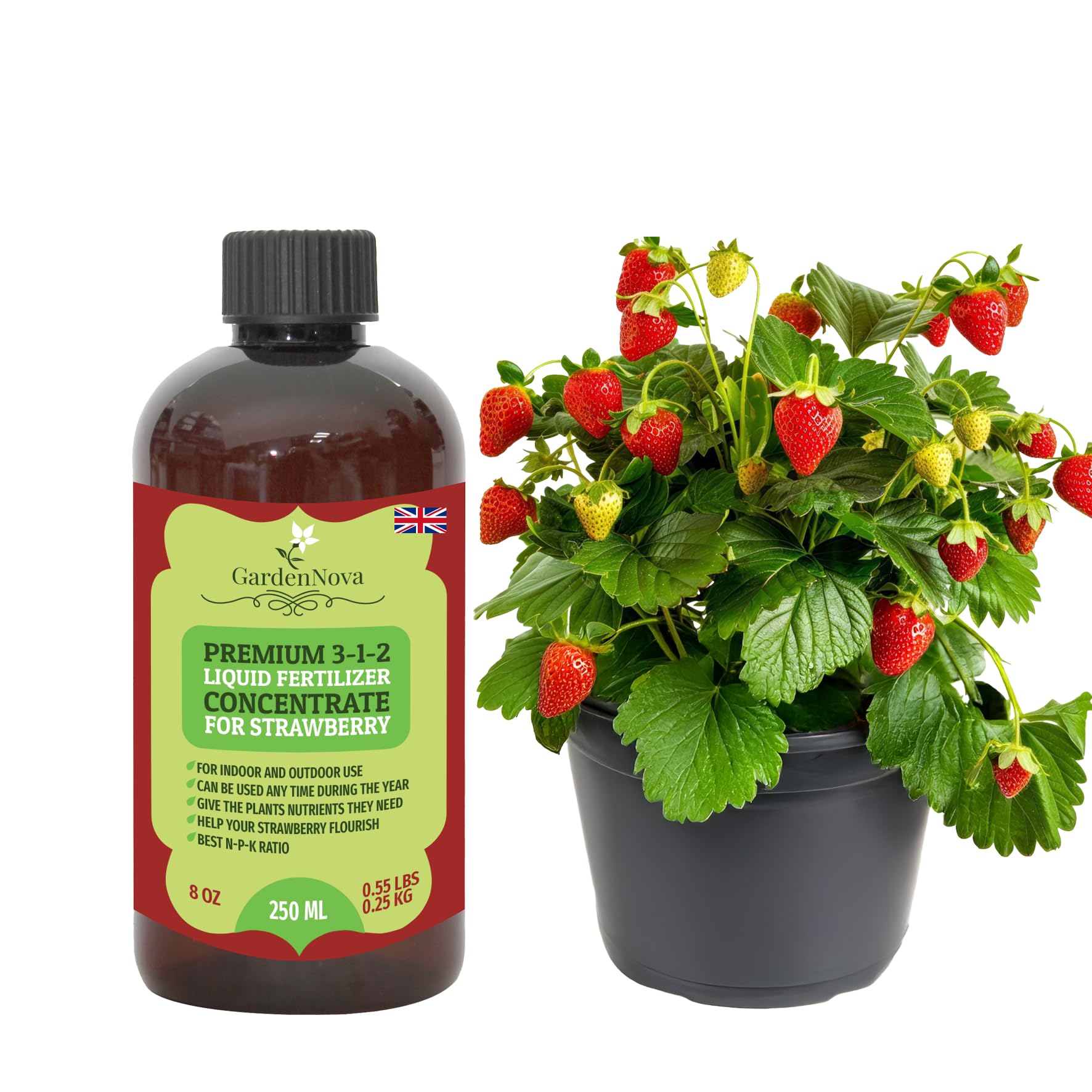 Premium Liquid Strawberry Fertilizer - 3-1-2 Concentrate for Indoor Plants and Flowers by GardenNova | Organic Plant Food for Strawberries - 8oz