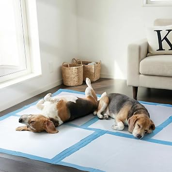 50 Pack 30x36 Extra Large Dog Pee Pads - Super Absorbent & Leak-Proof Disposable Puppy Training Pads | X-Large Quick-Dry 5-Layer Protection Piddle Pads for Indoor & Outdoor Use