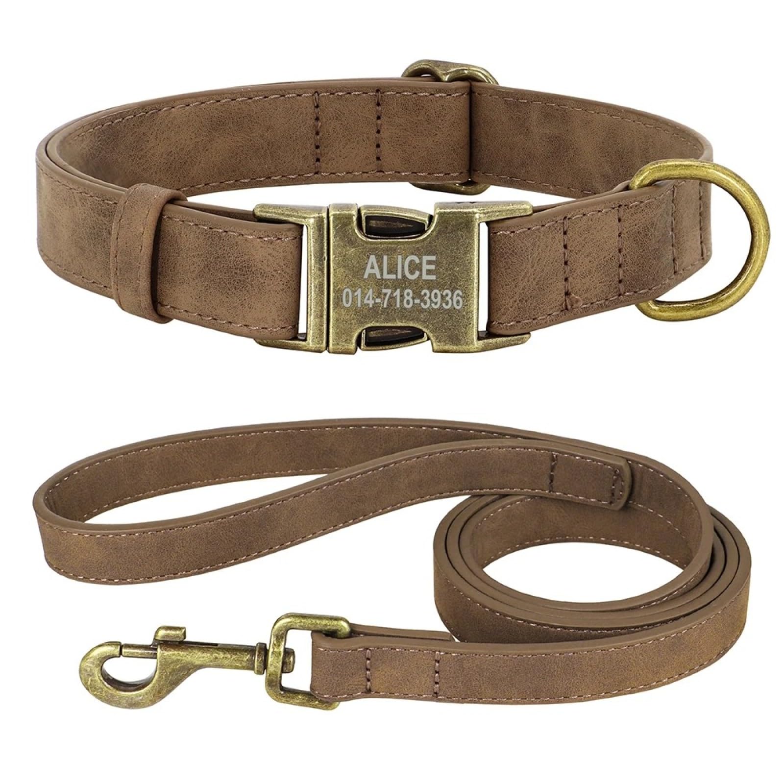 Collier de chien en cuir pour stopper les tractions en marche et camping
