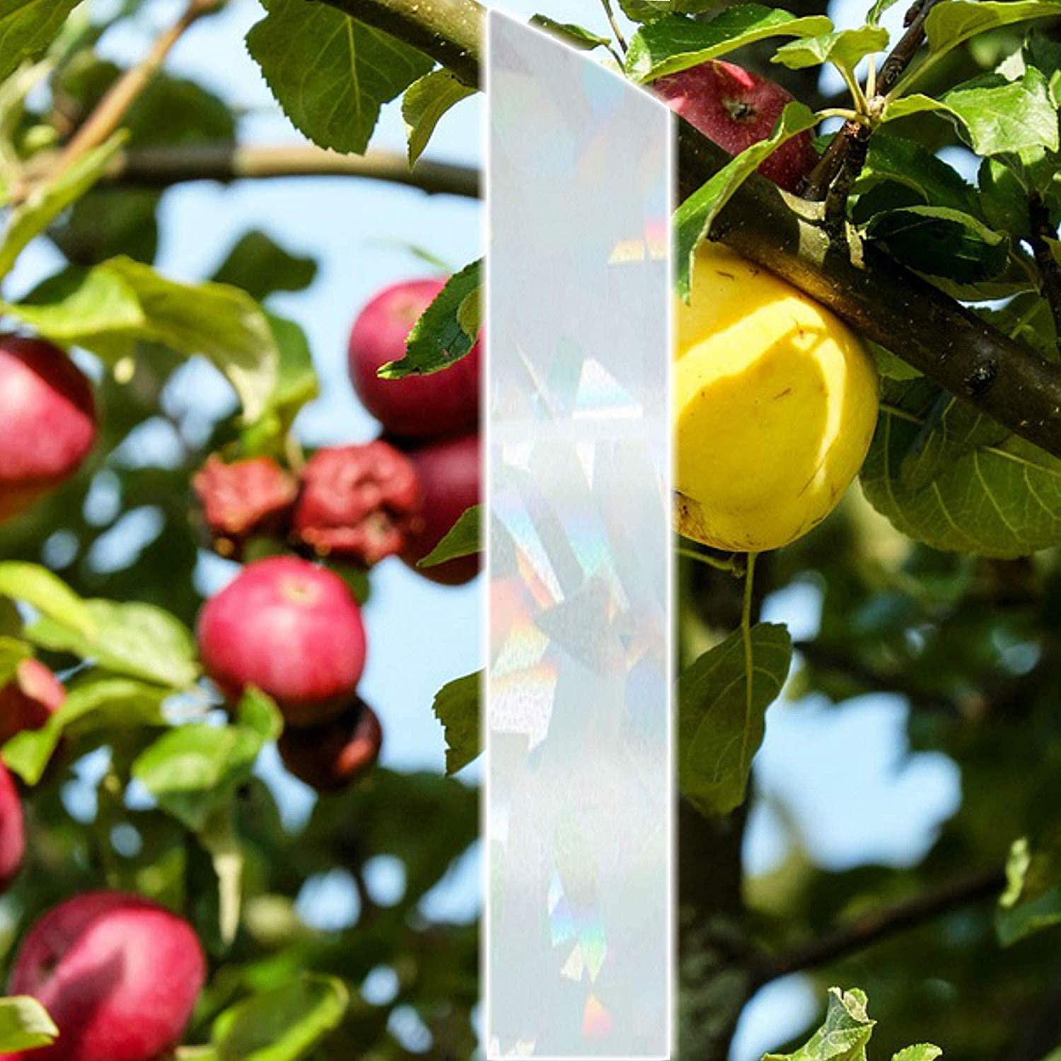 TronicXL Nastro catarifrangente per allontanare gli uccelli, per giardino, balcone, albero, frutta, piccioni, uccelli, spaventatore, spaventatore per uccelli (10 rotoli)