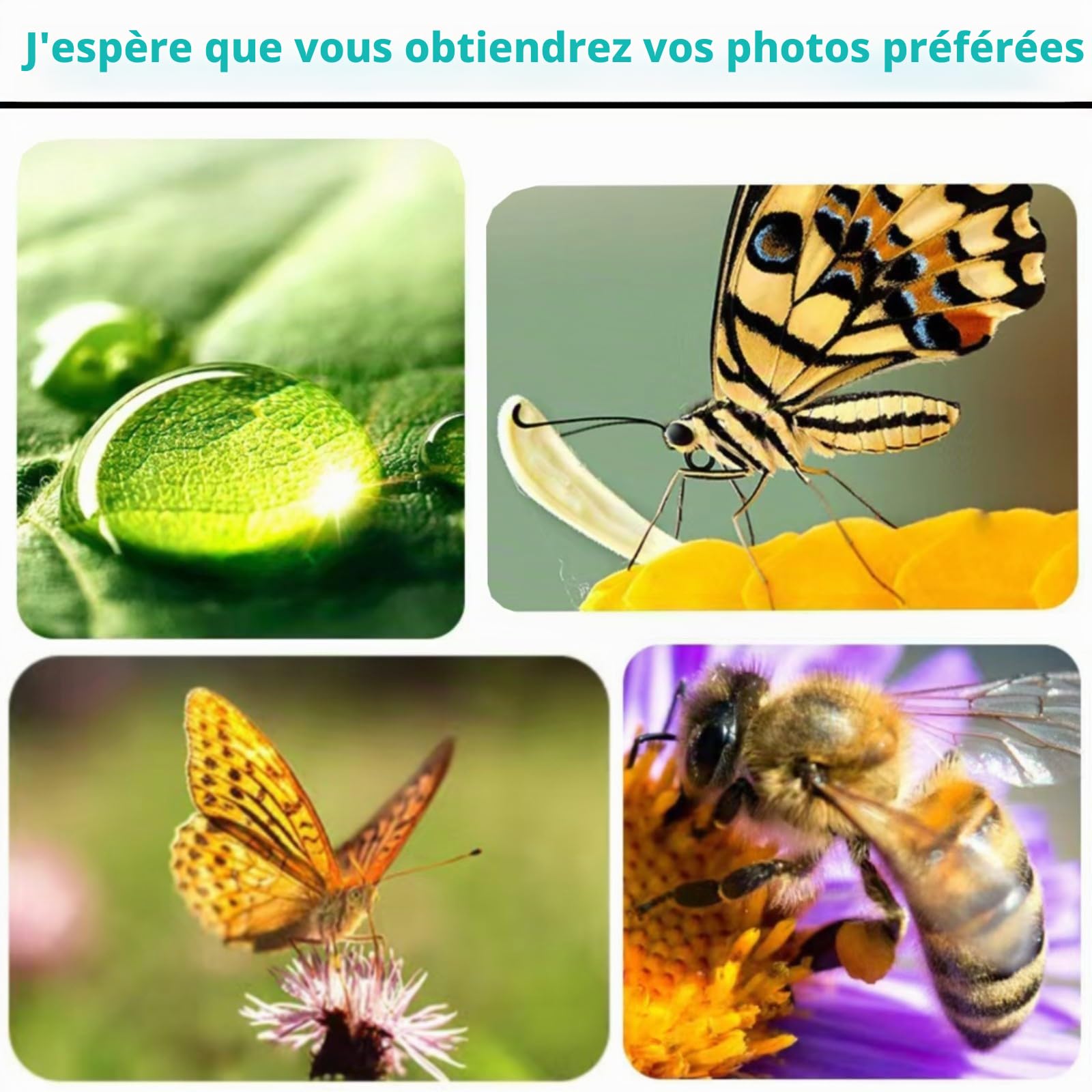 3 en 1 Objectif Telephone Portable, Kit Objectif pour iphone, 120° Grand Angle, 25x Macro, 210° Fisheye, Objectif Smartphone pour la Plupart des Smartphones