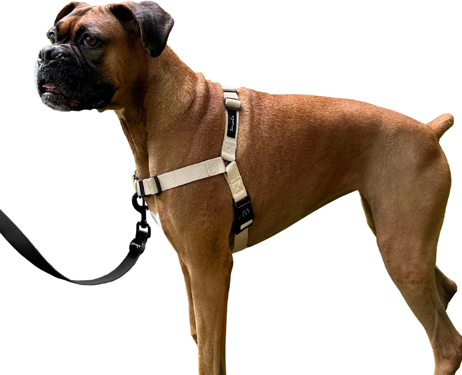 ShawnCo Dream Walk No-Pull Dog Harness (Driftwood, S)