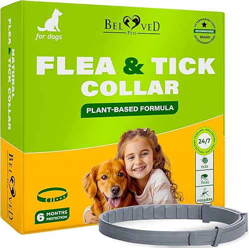 Natural Flea & Tick Collar for Dogs - 6 Months