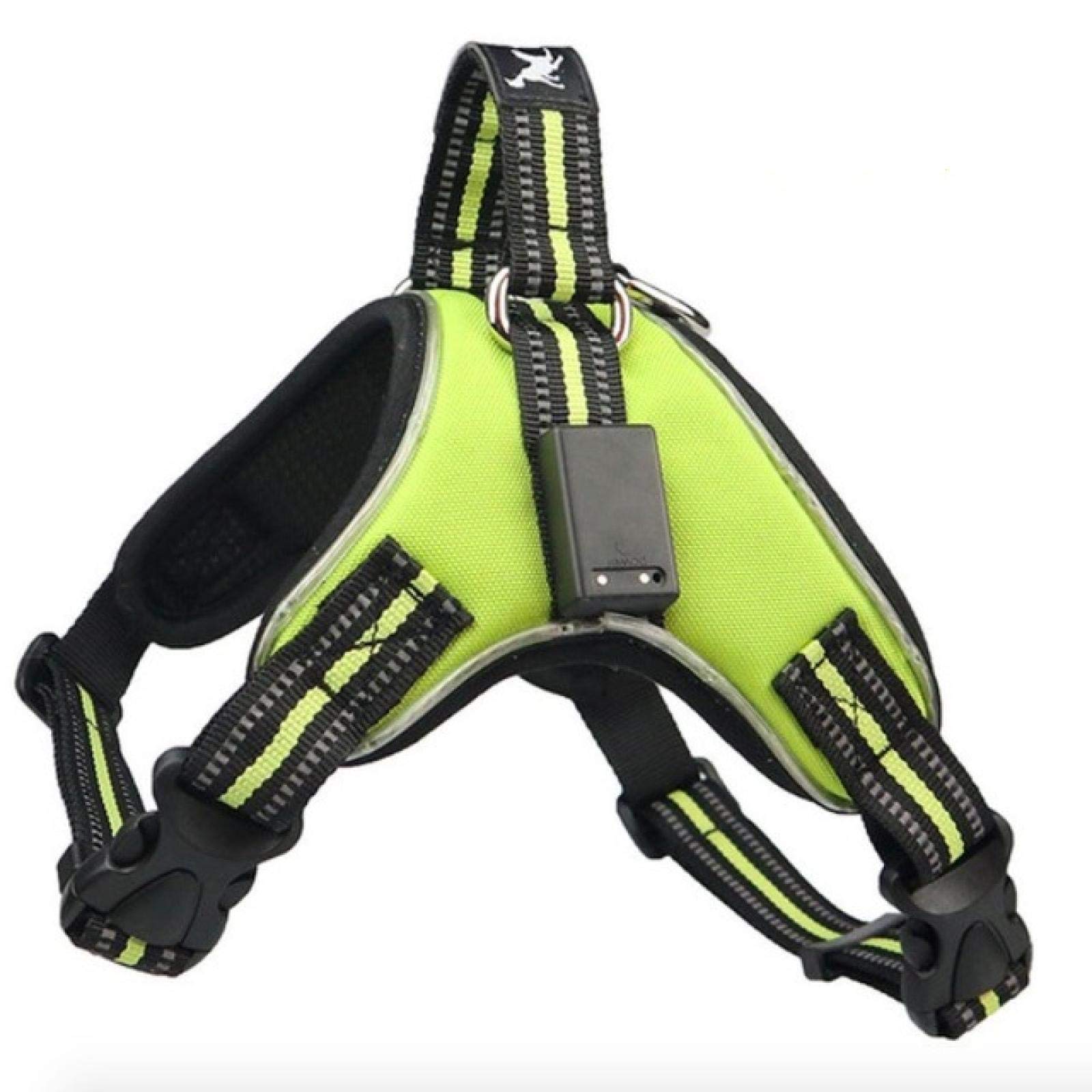 Haustier LED Kabelbaum für Haustier Hund Schwanz Nylon LED blinken Hund Kabelgeschirr Halsband Haustier Sicherheitsgurt Leine Hundezubehör M Grün