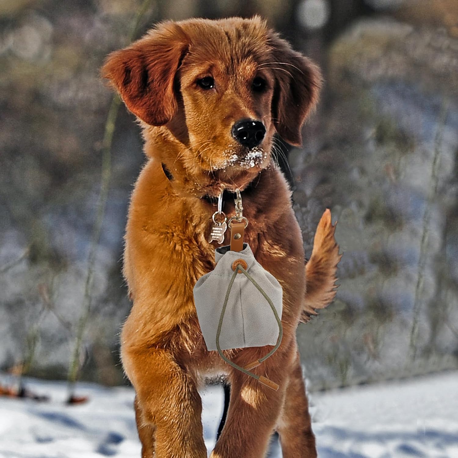 Canvas Dog Treat Pouch with Buckle, Large Capacity Outdoor Training Bag | Washable and Lightweight, Easy to Clean, Pet Snack Storage for Outings