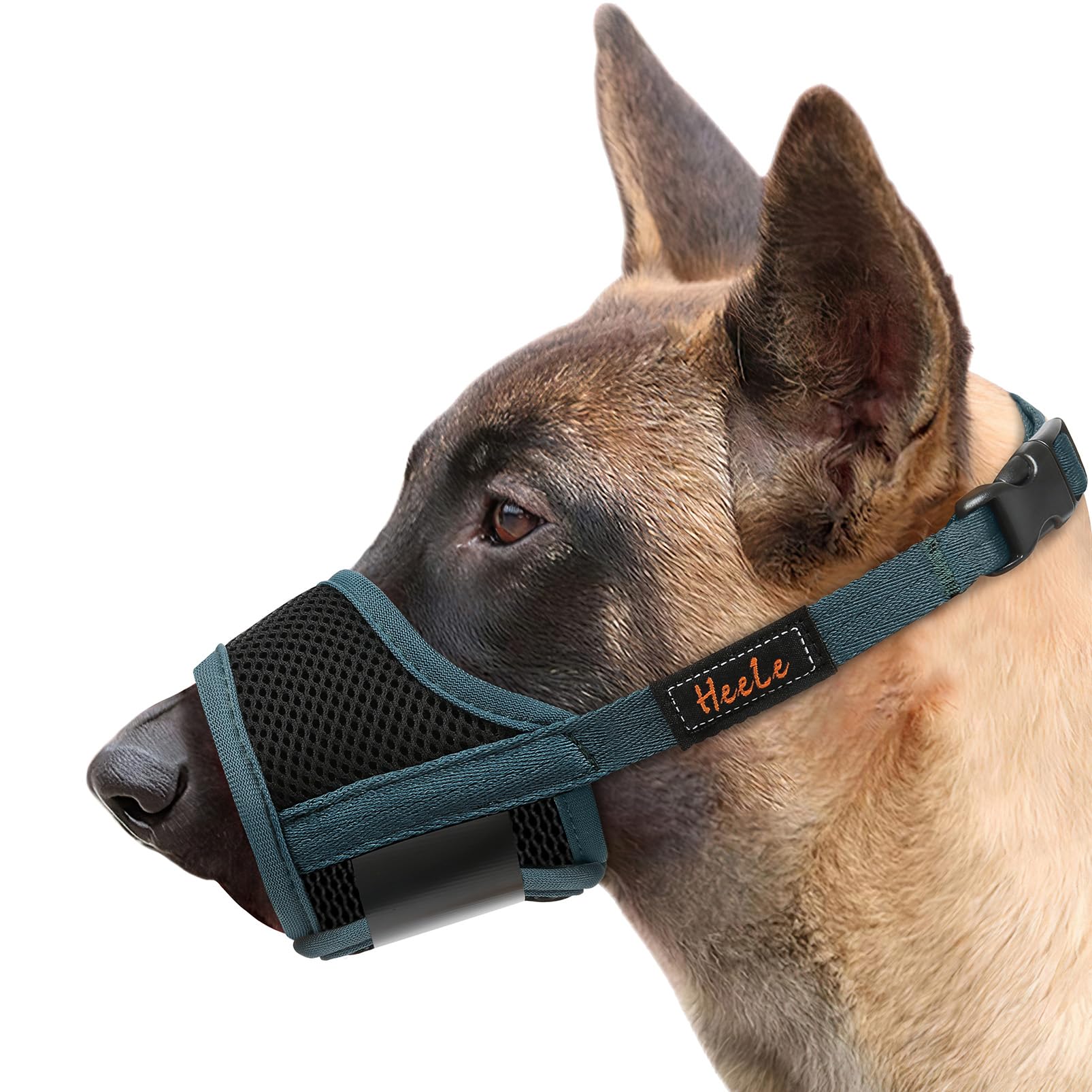 HEELE Museruola Cane, Museruola per Cane Antiabbaio in Morbida Rete Traspirante con Anello Regolabile per Cani di Taglia Grande, Antimorso Anti-Masticare Addestramento Animali Museruola, Verde, XL