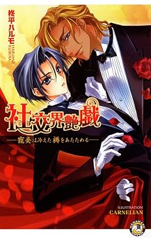 社交界艶戯～寵妾は冷えた褥をあたためる～【イラスト入り】 (花丸ノベルズ) 書籍 PDF 無料