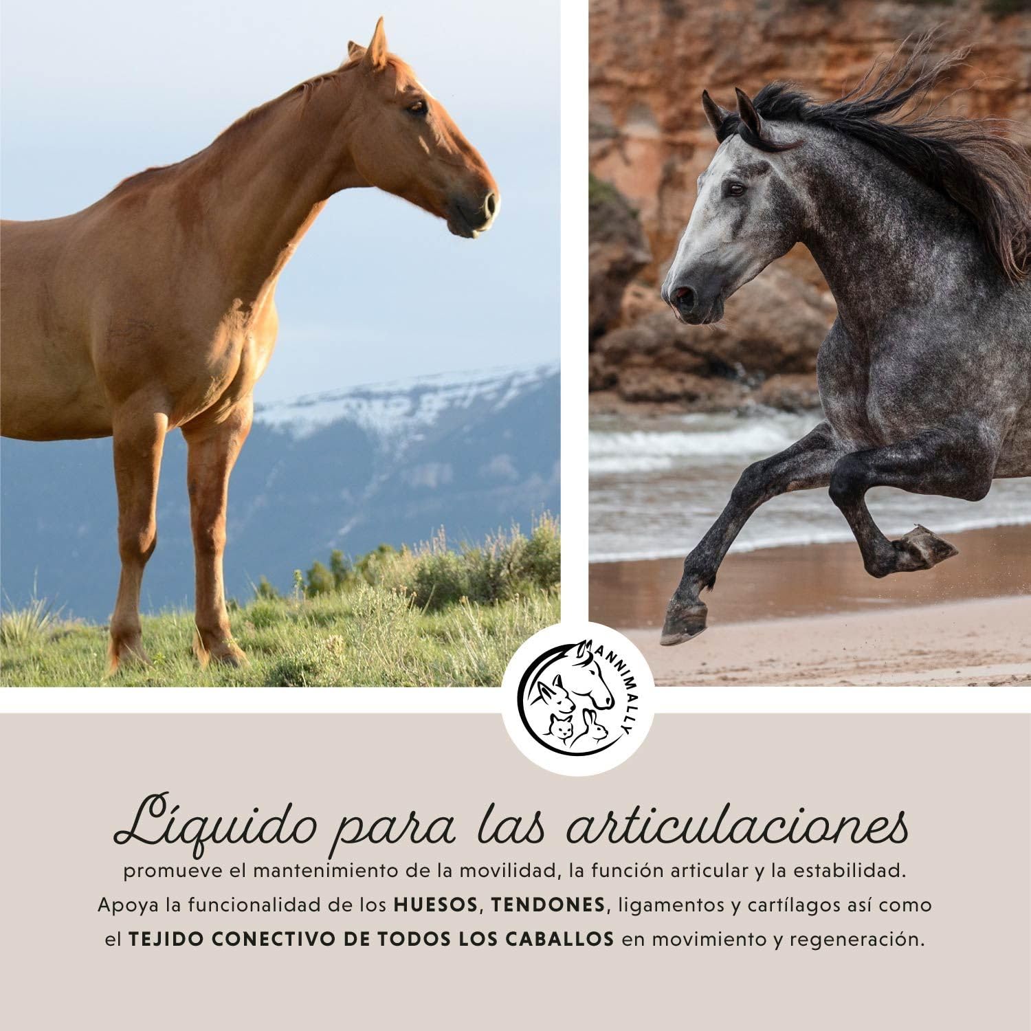 Annimally Condroprotector para Caballo 1000ml con Garra del Diablo, glucosamina Caballos y MSM Caballos (azufre) en Forma líquida - Complemento alimenticio Caballos - Alternativa al Polvo