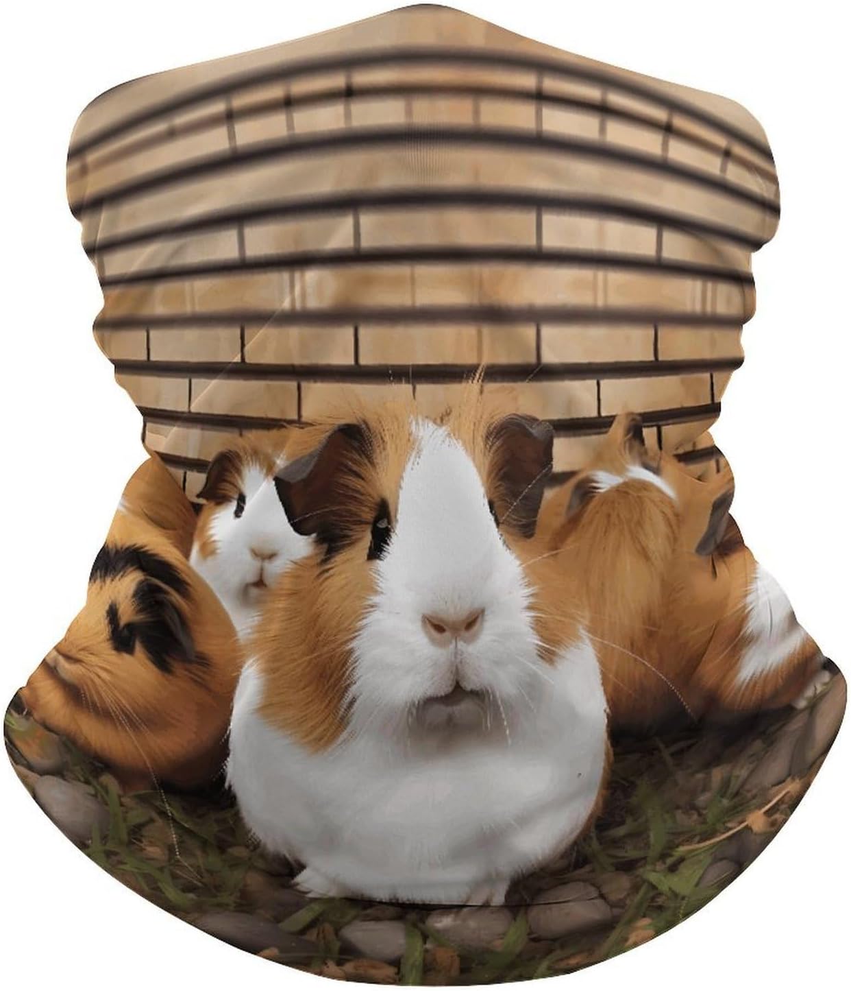 Multi-Use Double Sided Guinea Pigs Print Neck Gaiter Face Cover Scarf, Breathable Cooling UV Sun Protection Face Mask, Soft Bandana Head Wrap Headwear for Men Women Outdoor