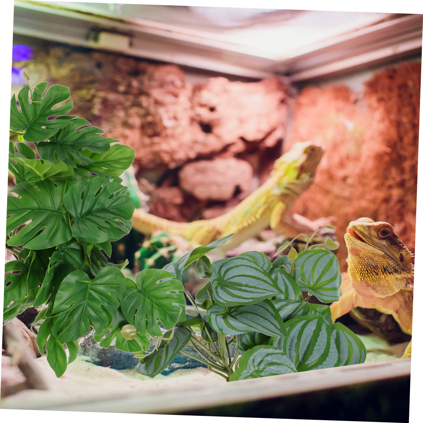 minkissy 10 piezas de decoración de plantas de reptiles simulación plantas falsas decorativas plantas artificiales plantas terrario decoraciones del hogar plantas decorativas reptiles plantas de