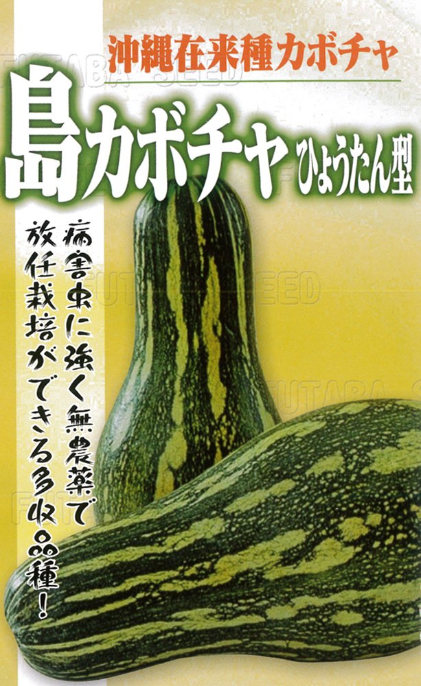 【専用 ハッピー様】 カボチャ　かぼちゃ 沖縄県 宮古島産 専用 ハッピー様】 カボチャ かぼちゃ 沖縄県 宮古島産 【公式通販】