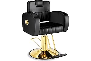 Sturdy and Uber-Comfy Baasha Salon Chair