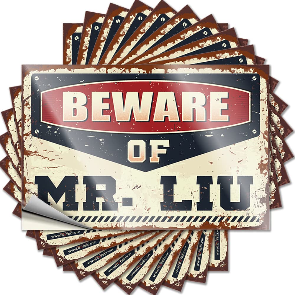 Car Stickers Funny Beware of Mr. Liu Funny Sticker 10 Pcs Funny Bumper Stickers Inappropriate Stickers(6X9CM)