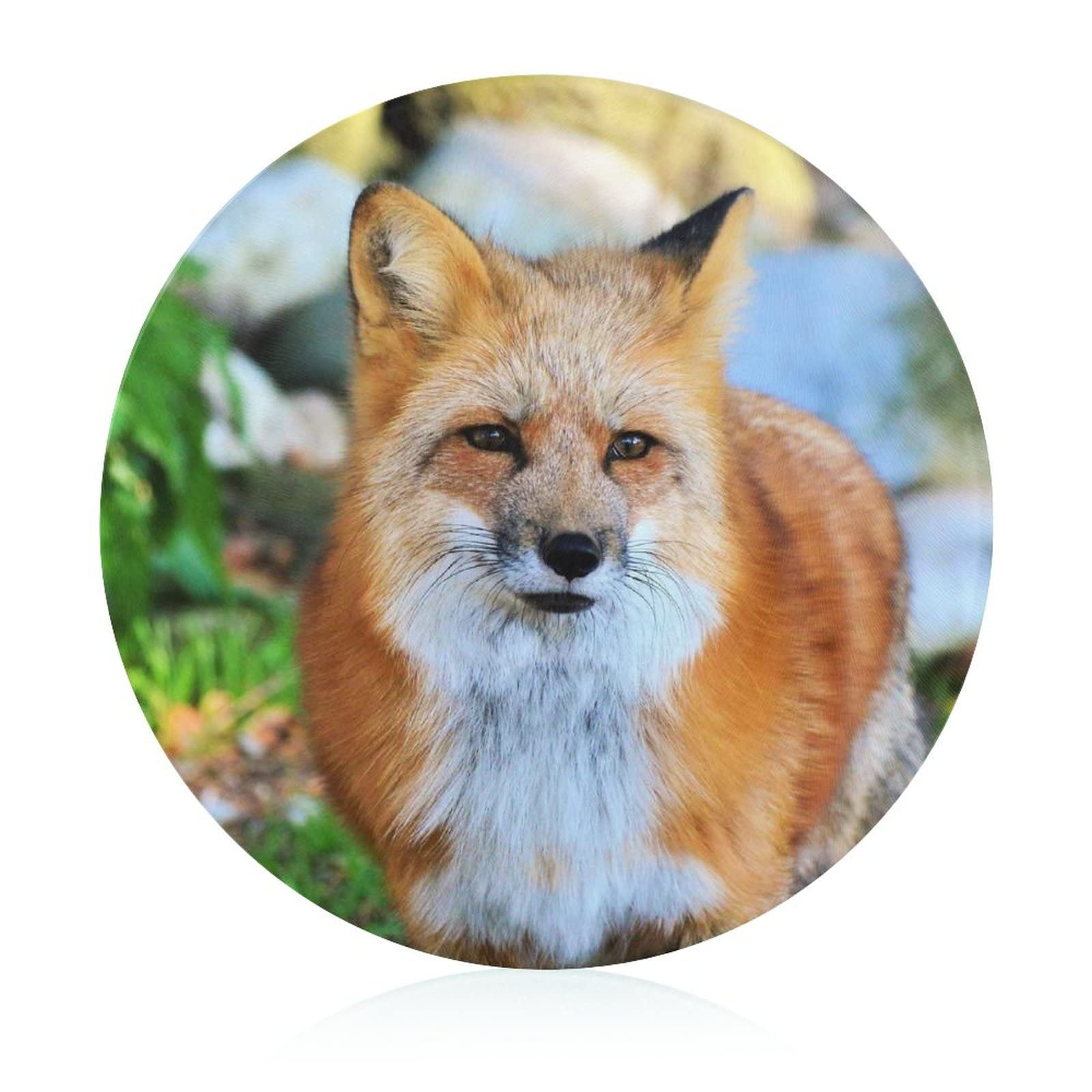 Planche à hacher fox de cuisine pour préparer vos apéritifs et fruits frais