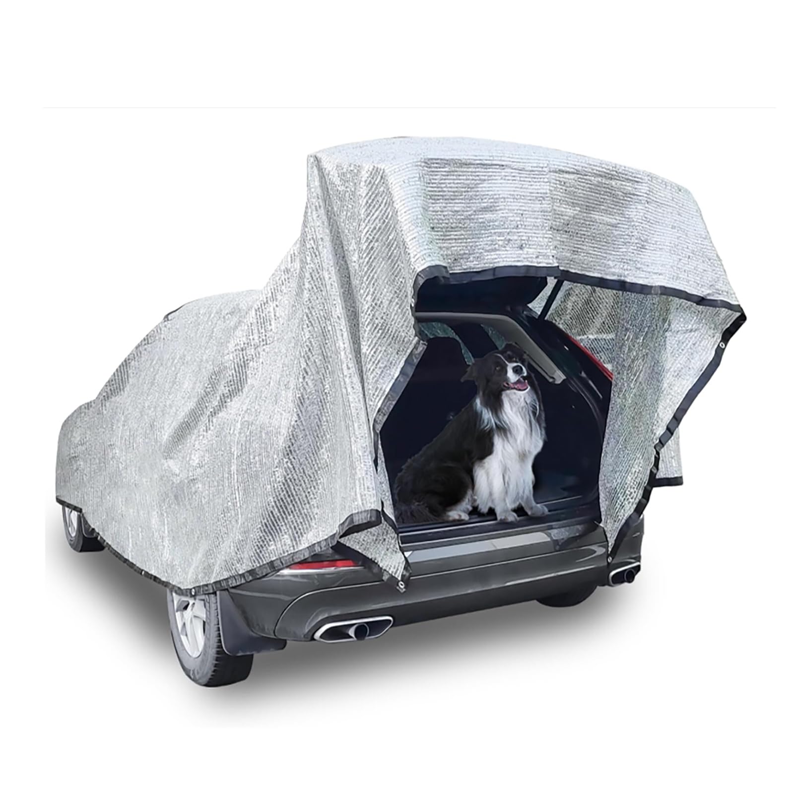 NEWFUN Telo Ombreggiante, 3x4m, Copertura Parasole Per Auto, SUV E Camper, Impermeabile E UV Resistente Per Viaggi E Campeggio