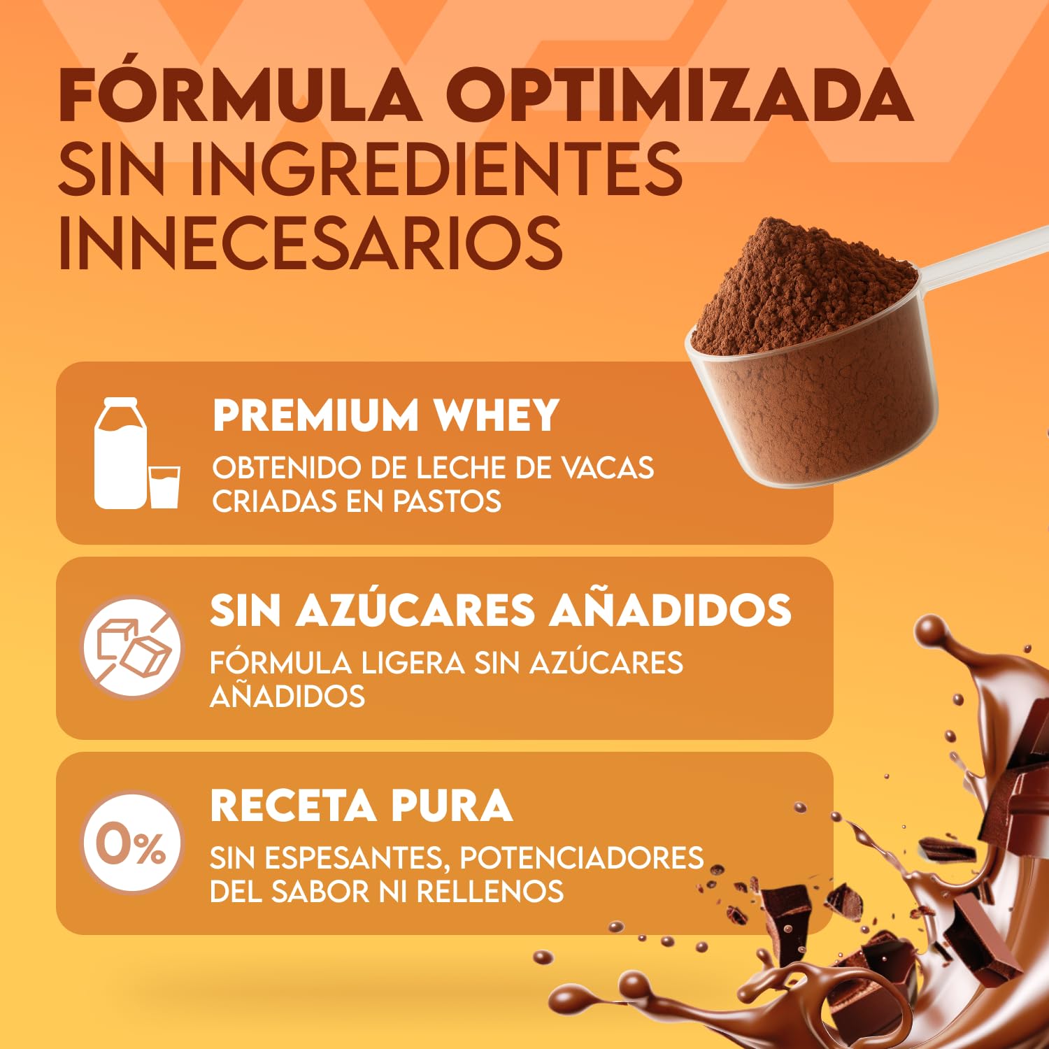 WFN Approved Whey Proteína en Polvo – Chocolate – 1 kg – Con Lactasa – Proteína de Suero de Alta Solubilidad – Producido y Analizado en Laboratorio en Alemania